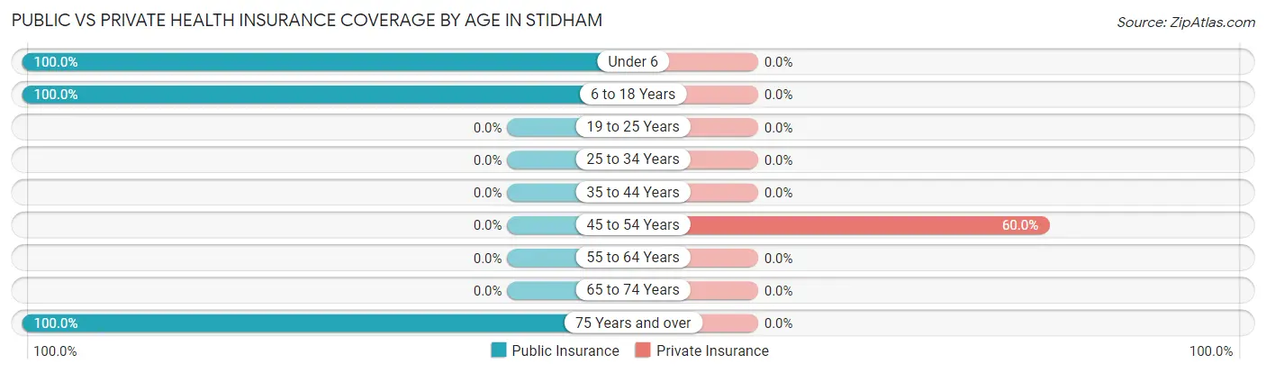 Public vs Private Health Insurance Coverage by Age in Stidham