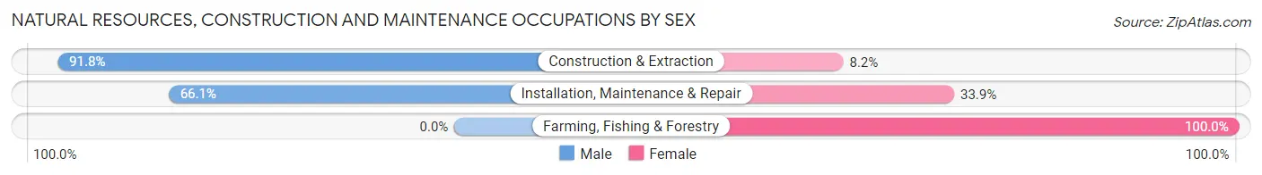 Natural Resources, Construction and Maintenance Occupations by Sex in Stilwell
