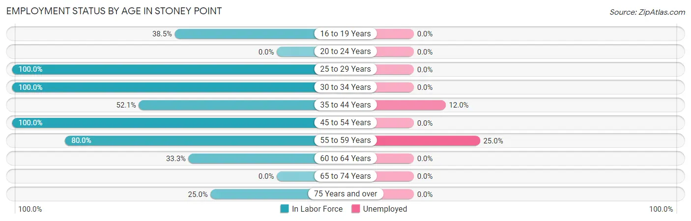 Employment Status by Age in Stoney Point