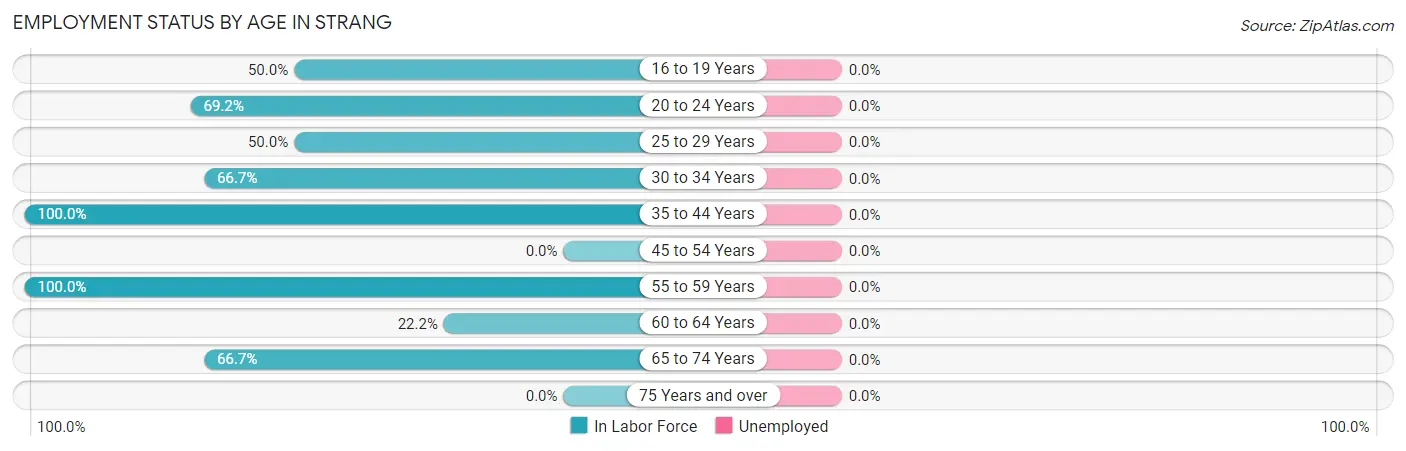 Employment Status by Age in Strang