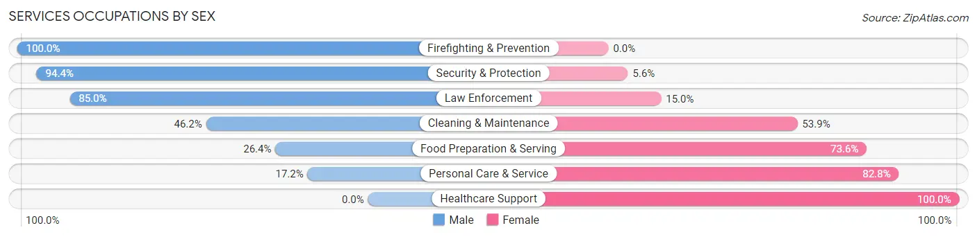 Services Occupations by Sex in Stroud