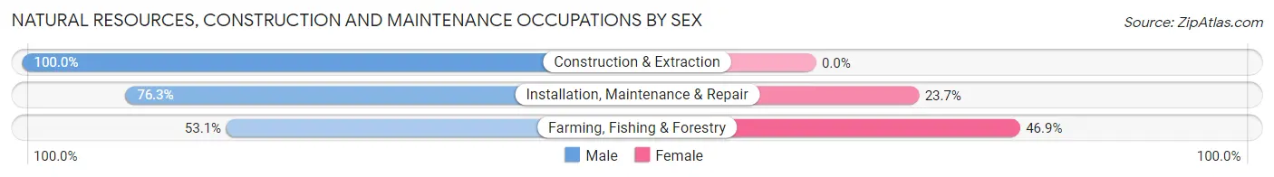 Natural Resources, Construction and Maintenance Occupations by Sex in Tahlequah