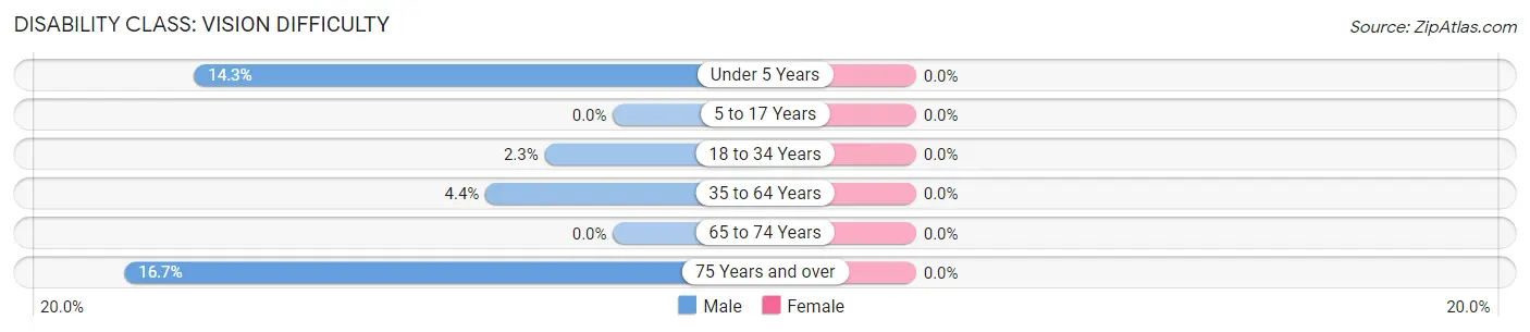 Disability in Talala: <span>Vision Difficulty</span>