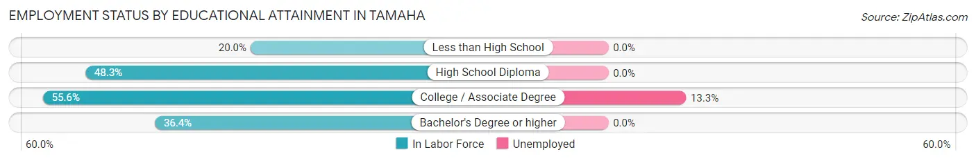 Employment Status by Educational Attainment in Tamaha