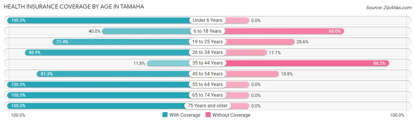 Health Insurance Coverage by Age in Tamaha