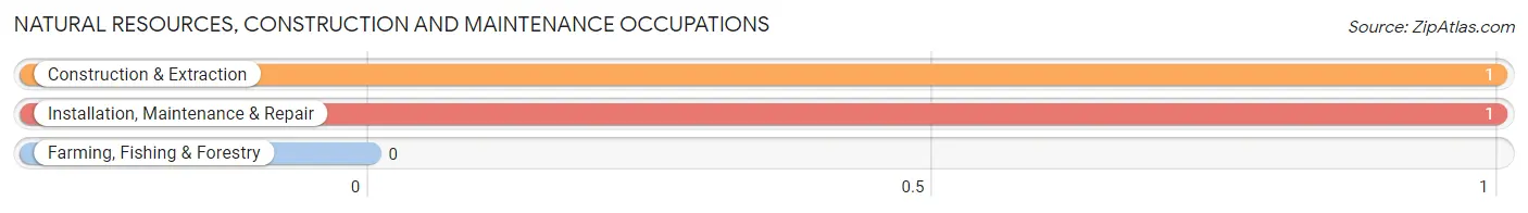 Natural Resources, Construction and Maintenance Occupations in Tatums