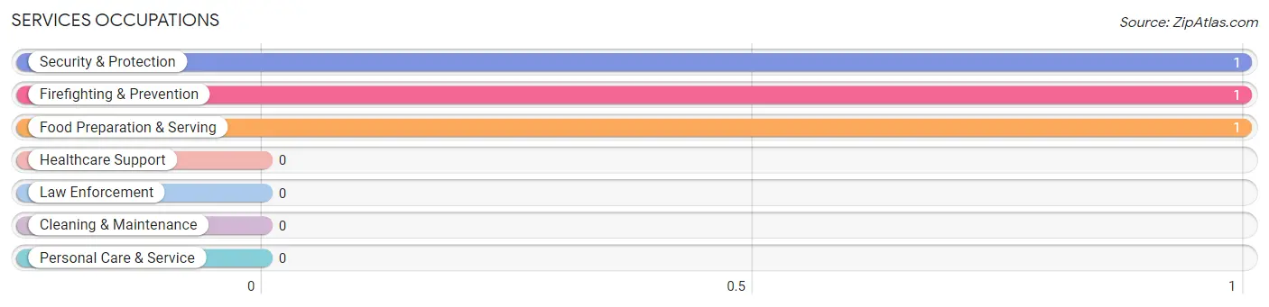 Services Occupations in Tatums