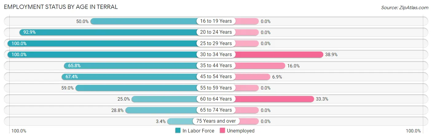 Employment Status by Age in Terral