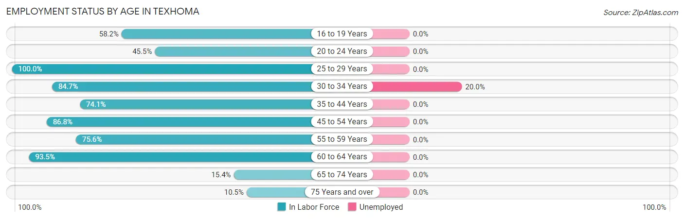 Employment Status by Age in Texhoma