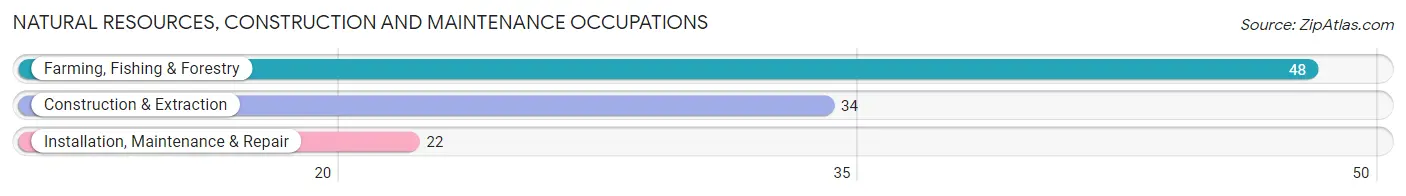 Natural Resources, Construction and Maintenance Occupations in Texhoma