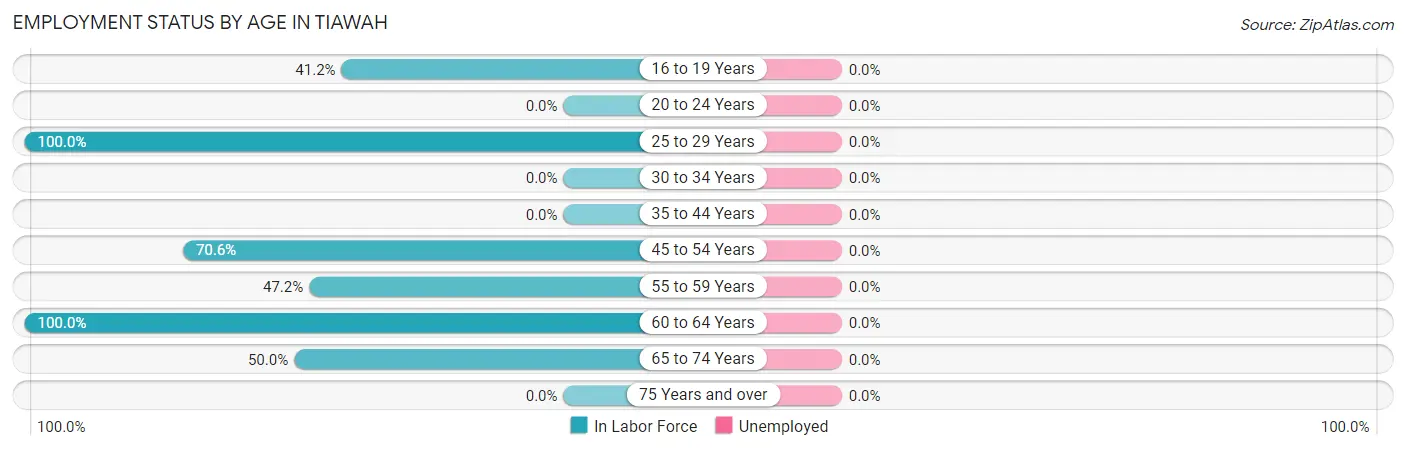 Employment Status by Age in Tiawah
