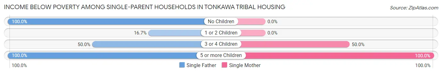 Income Below Poverty Among Single-Parent Households in Tonkawa Tribal Housing