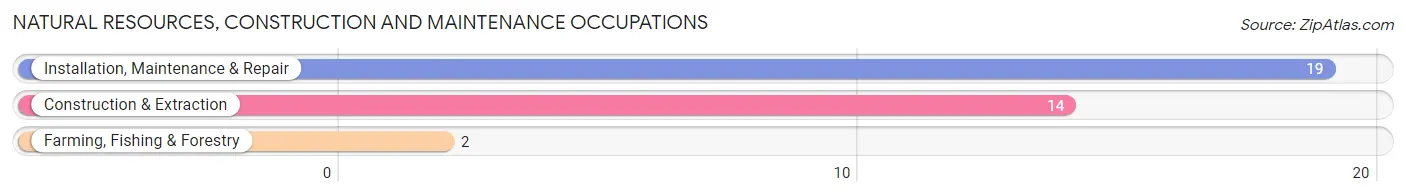 Natural Resources, Construction and Maintenance Occupations in Tribbey