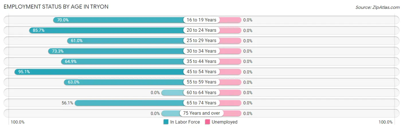 Employment Status by Age in Tryon
