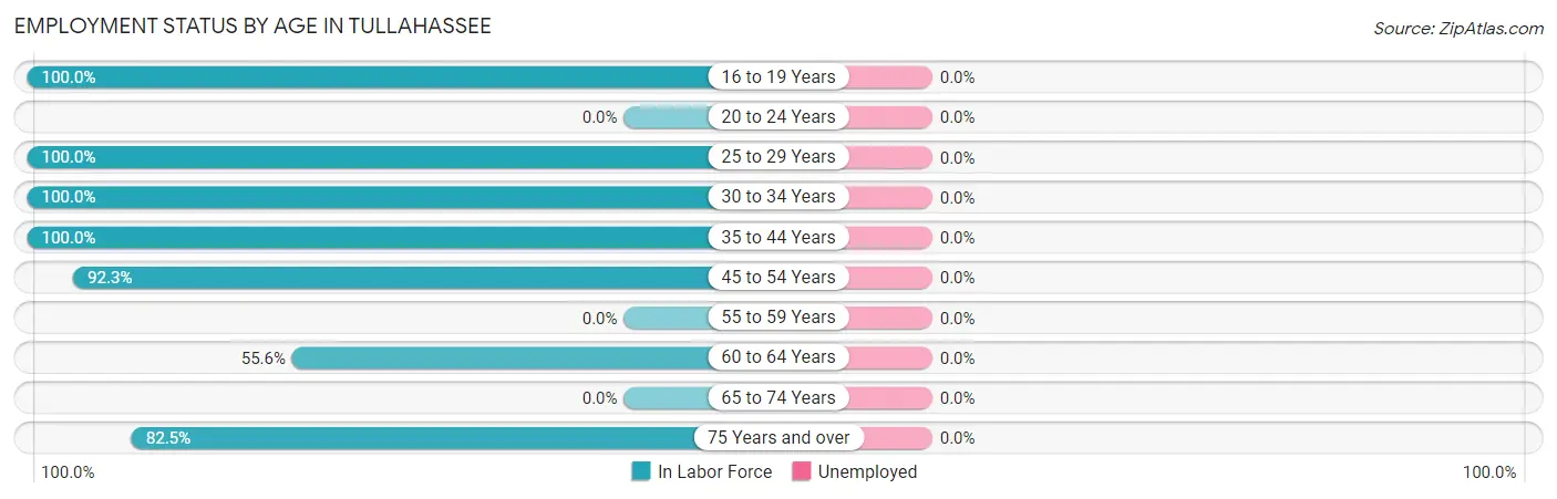 Employment Status by Age in Tullahassee