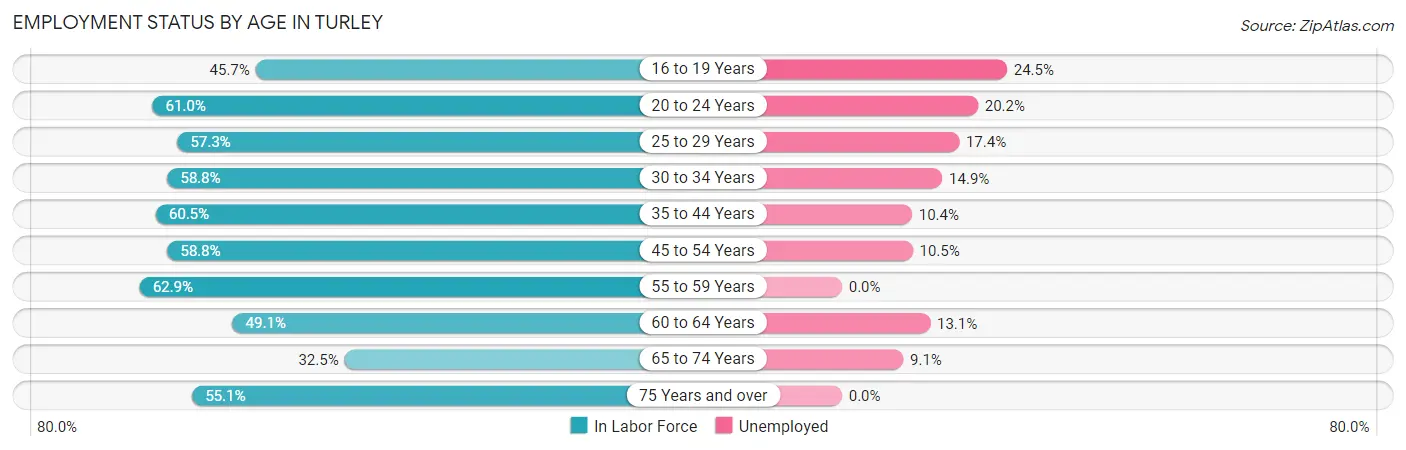 Employment Status by Age in Turley