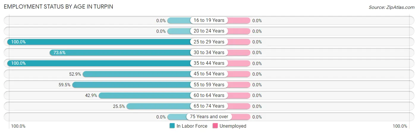 Employment Status by Age in Turpin