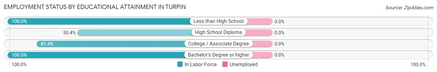 Employment Status by Educational Attainment in Turpin