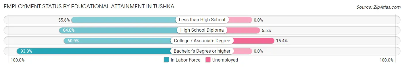Employment Status by Educational Attainment in Tushka