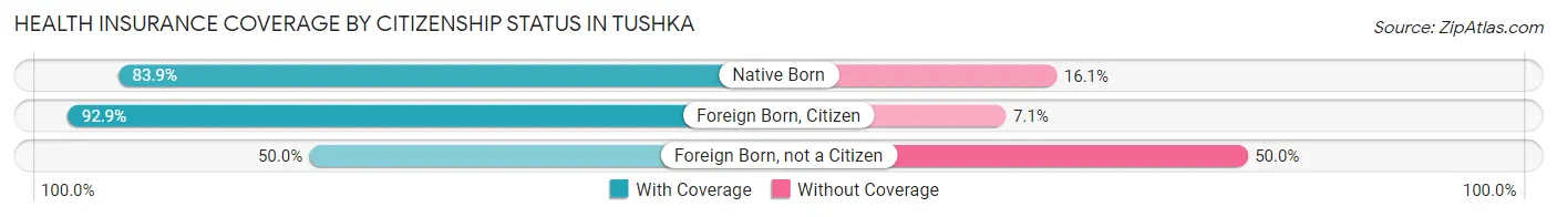 Health Insurance Coverage by Citizenship Status in Tushka