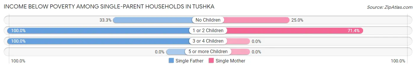 Income Below Poverty Among Single-Parent Households in Tushka