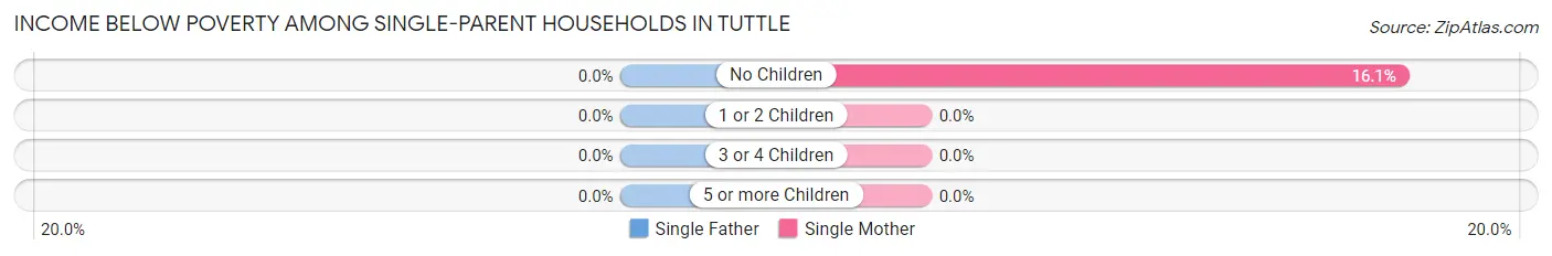 Income Below Poverty Among Single-Parent Households in Tuttle