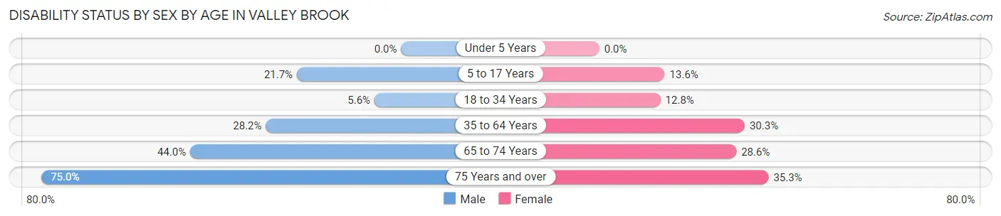 Disability Status by Sex by Age in Valley Brook