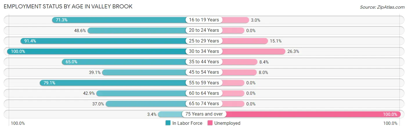 Employment Status by Age in Valley Brook