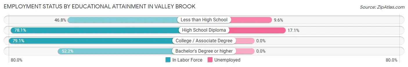 Employment Status by Educational Attainment in Valley Brook