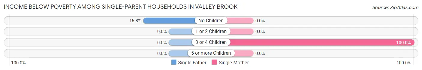 Income Below Poverty Among Single-Parent Households in Valley Brook