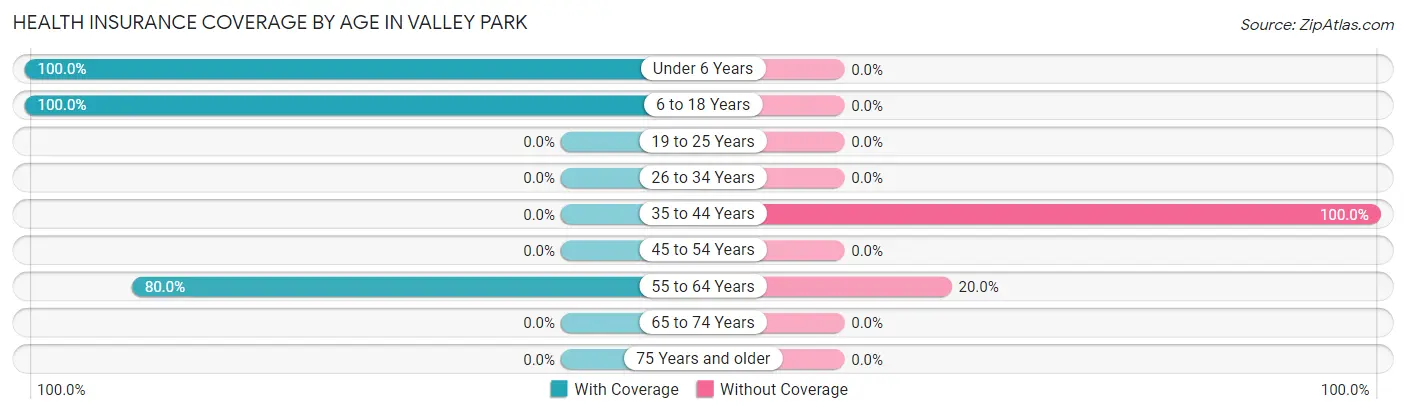 Health Insurance Coverage by Age in Valley Park