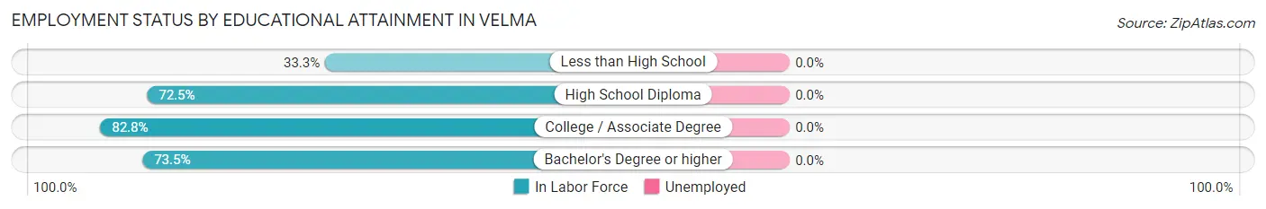 Employment Status by Educational Attainment in Velma
