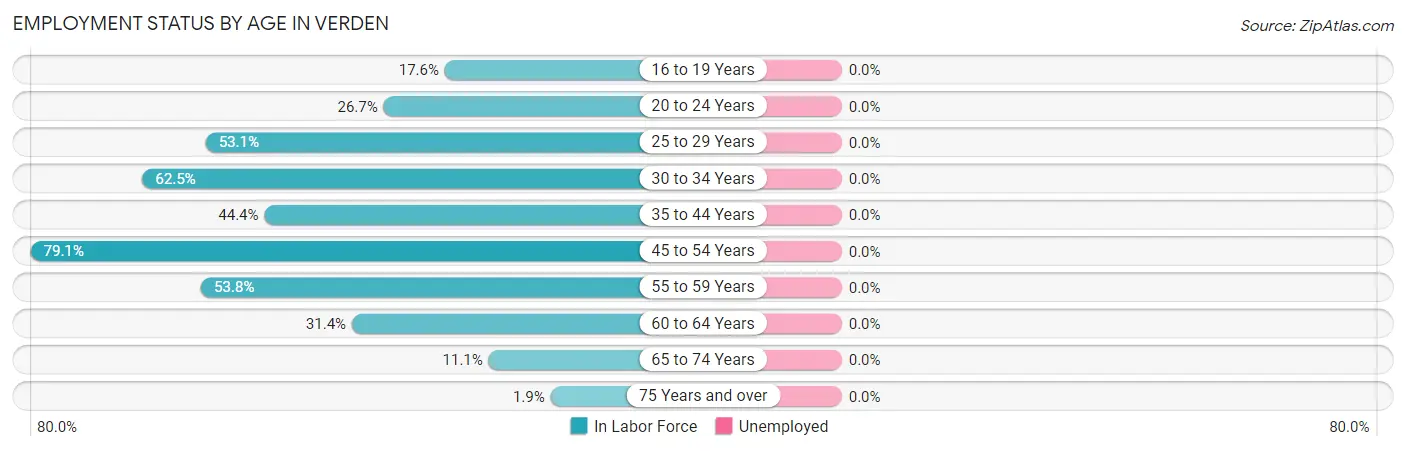 Employment Status by Age in Verden