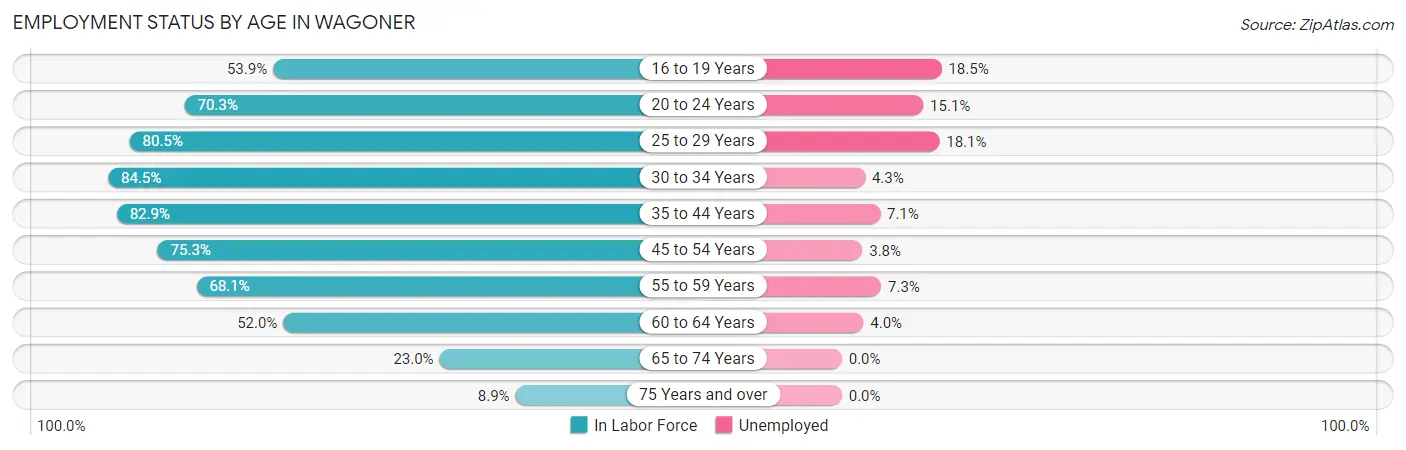 Employment Status by Age in Wagoner