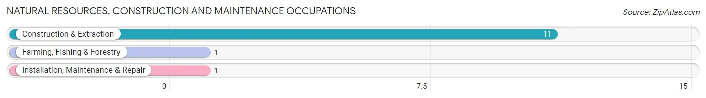 Natural Resources, Construction and Maintenance Occupations in Wainwright