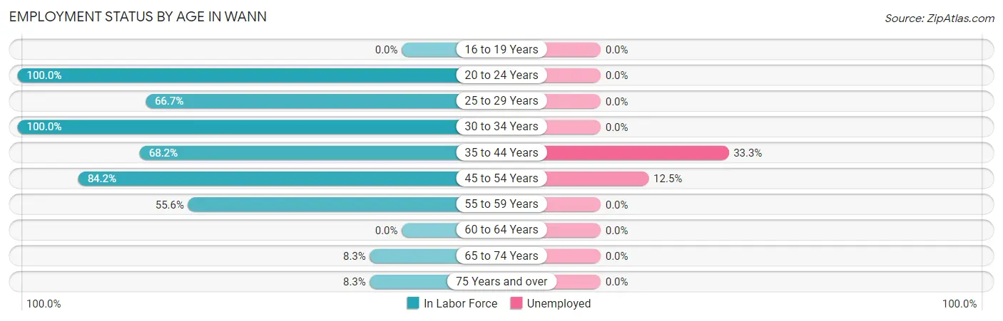 Employment Status by Age in Wann