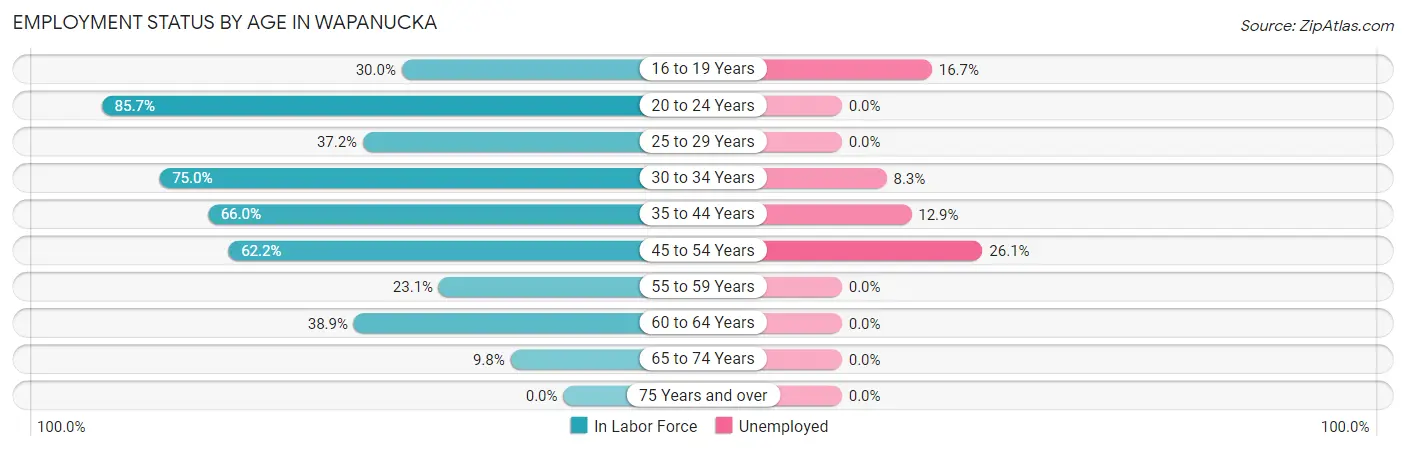 Employment Status by Age in Wapanucka