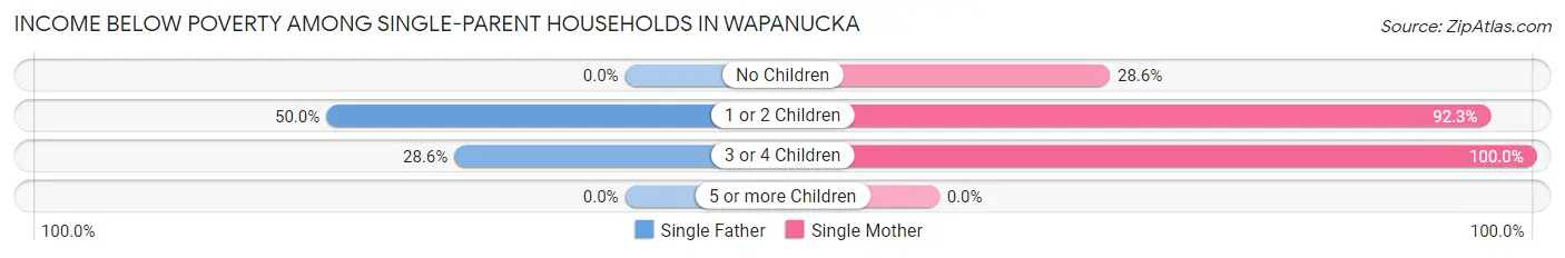 Income Below Poverty Among Single-Parent Households in Wapanucka