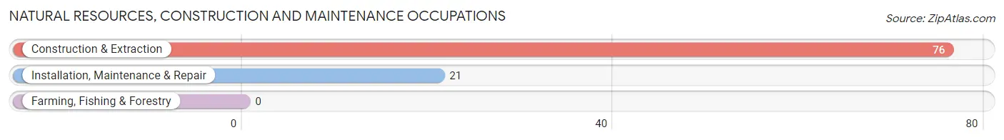 Natural Resources, Construction and Maintenance Occupations in Warner