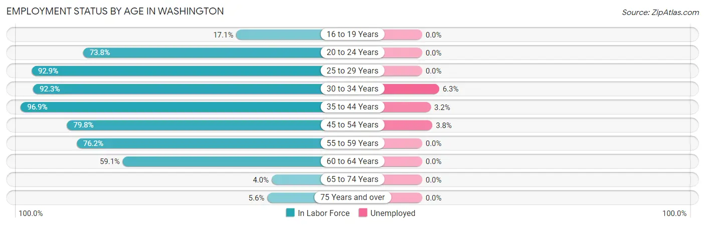 Employment Status by Age in Washington