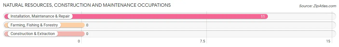 Natural Resources, Construction and Maintenance Occupations in Watova