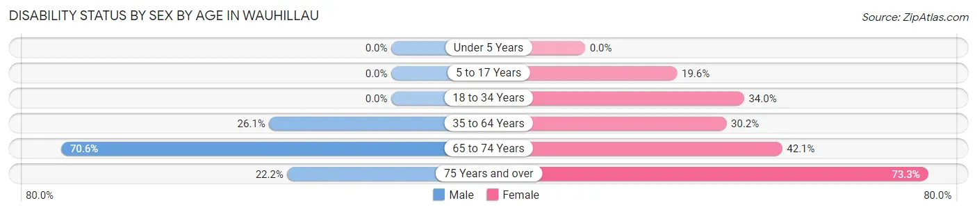 Disability Status by Sex by Age in Wauhillau