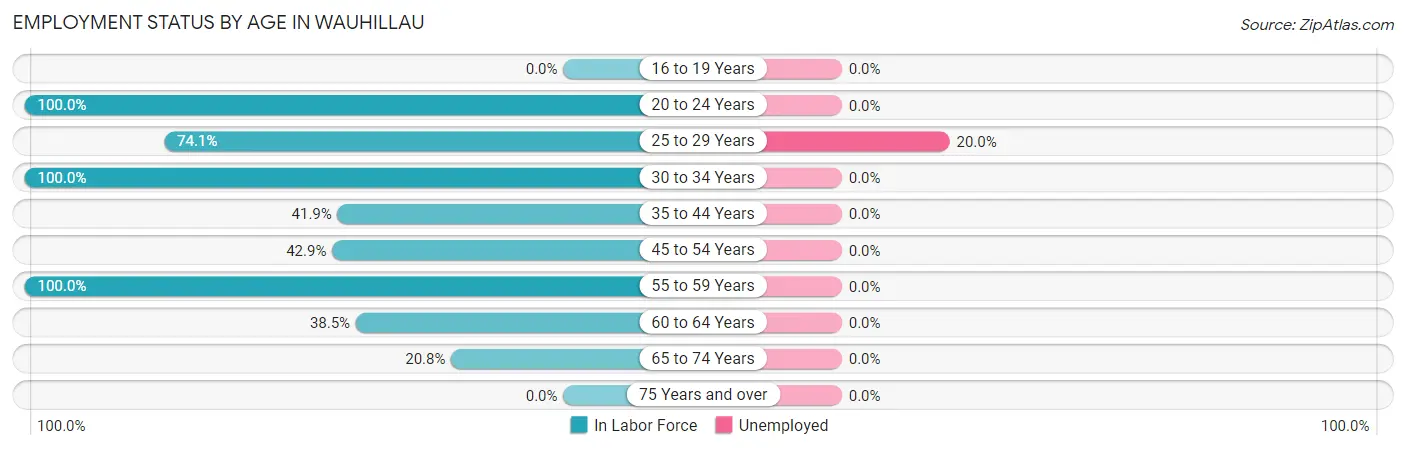 Employment Status by Age in Wauhillau