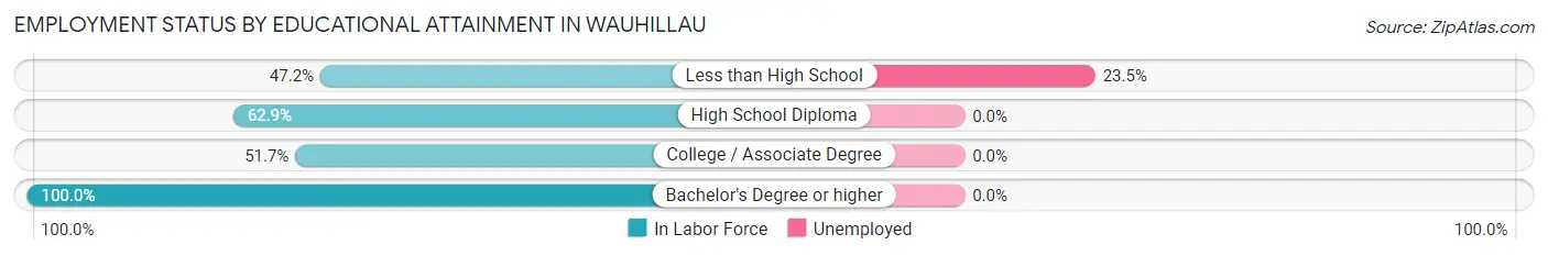 Employment Status by Educational Attainment in Wauhillau
