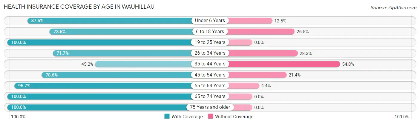 Health Insurance Coverage by Age in Wauhillau