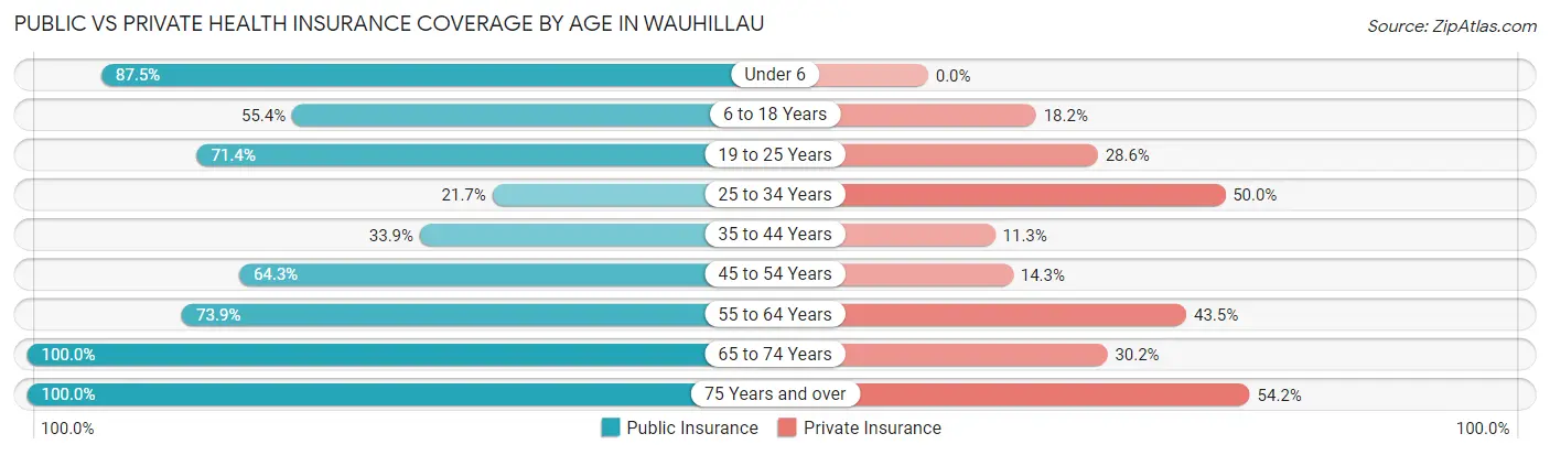 Public vs Private Health Insurance Coverage by Age in Wauhillau