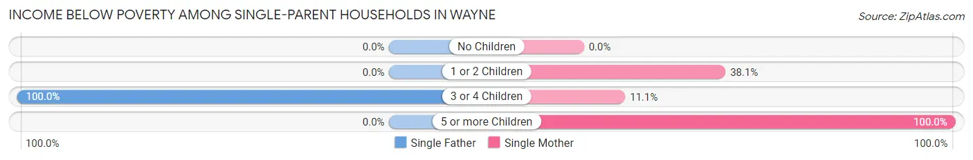 Income Below Poverty Among Single-Parent Households in Wayne