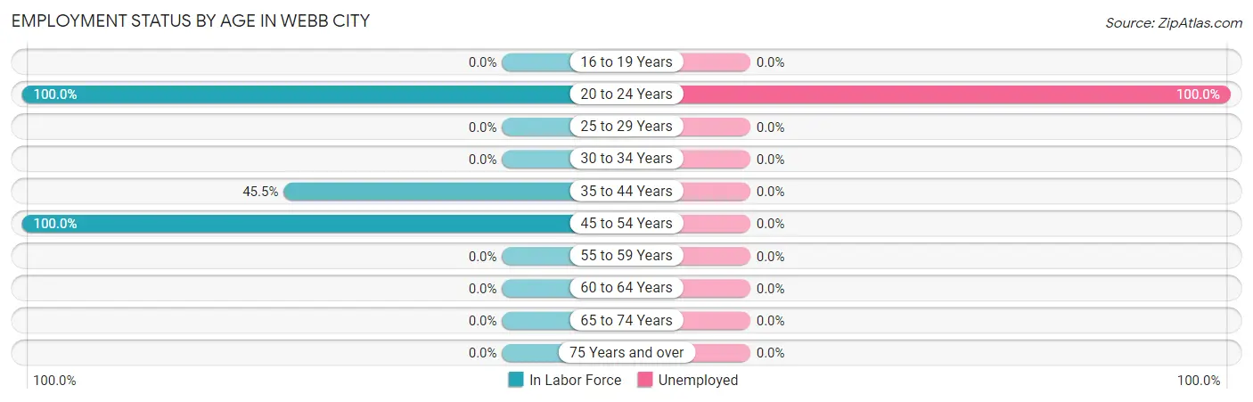 Employment Status by Age in Webb City