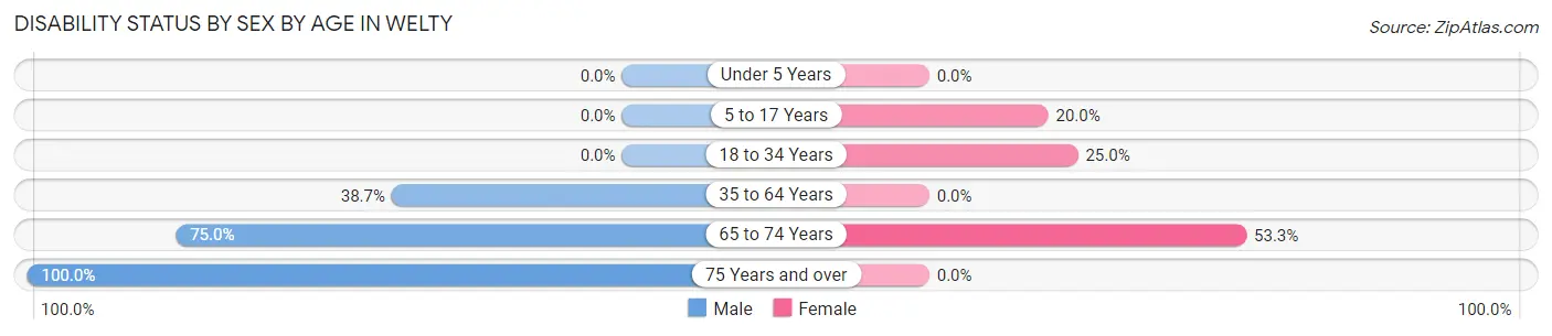 Disability Status by Sex by Age in Welty