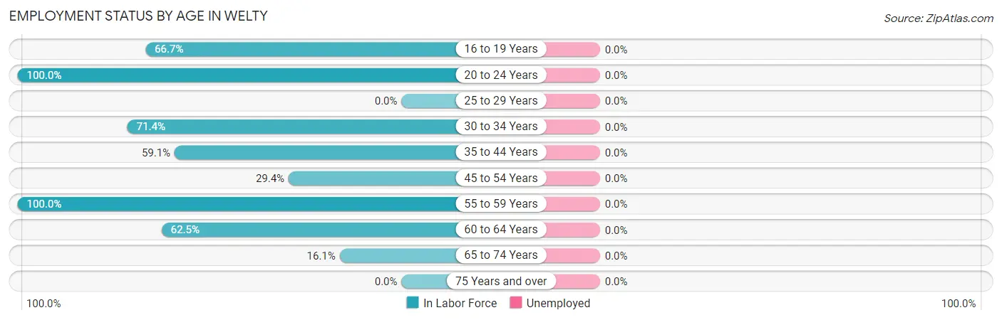Employment Status by Age in Welty